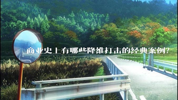 商业史上有哪些降维打击的经典案例？